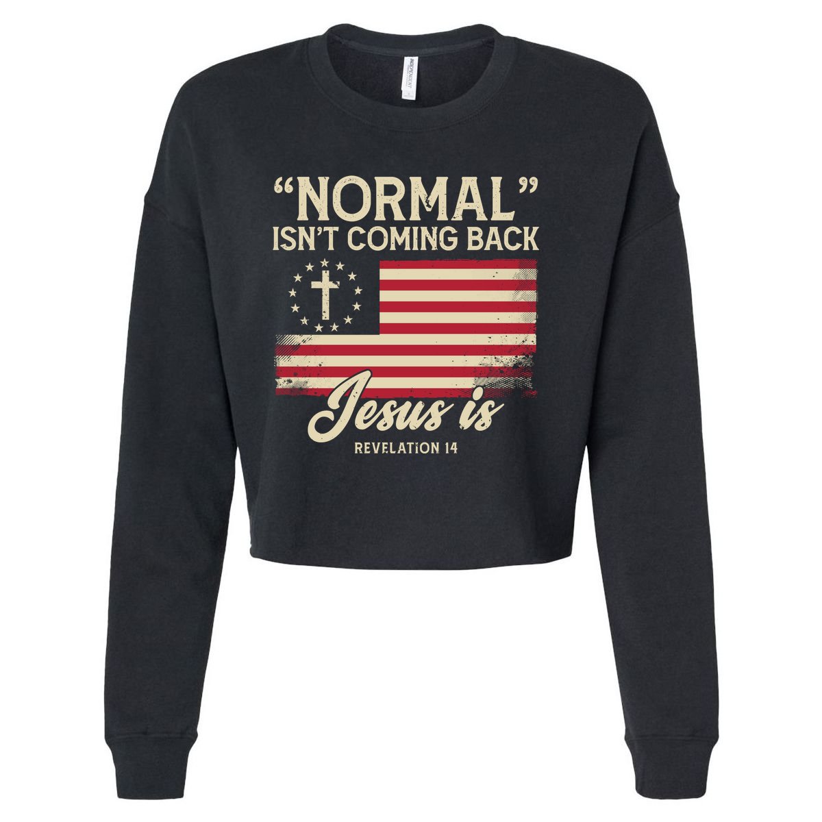 Normal Isnt Coming Back Jesus Is American Flag Cropped Pullover Crew