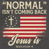 Normal Isnt Coming Back Jesus Is American Flag Vector Backpack