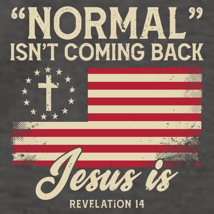 Normal Isnt Coming Back Jesus Is American Flag Vector Backpack