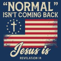 Normal Isnt Coming Back Jesus Is American Flag Cooling Performance Crew T-Shirt