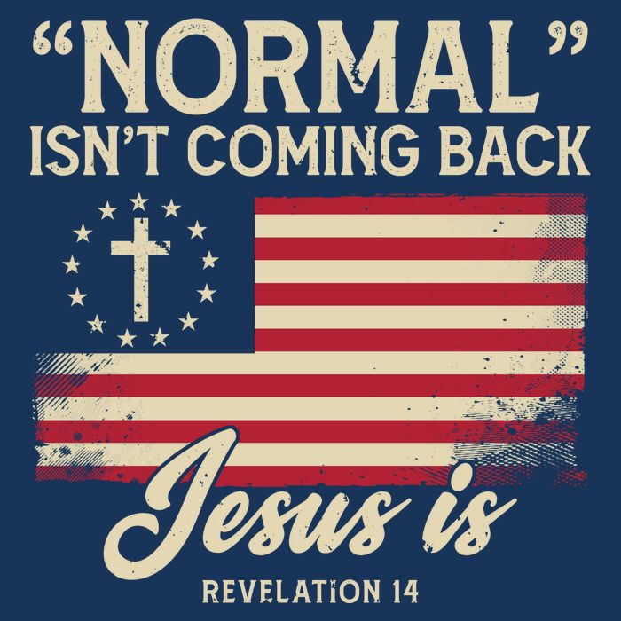Normal Isnt Coming Back Jesus Is American Flag Cooling Performance Crew T-Shirt