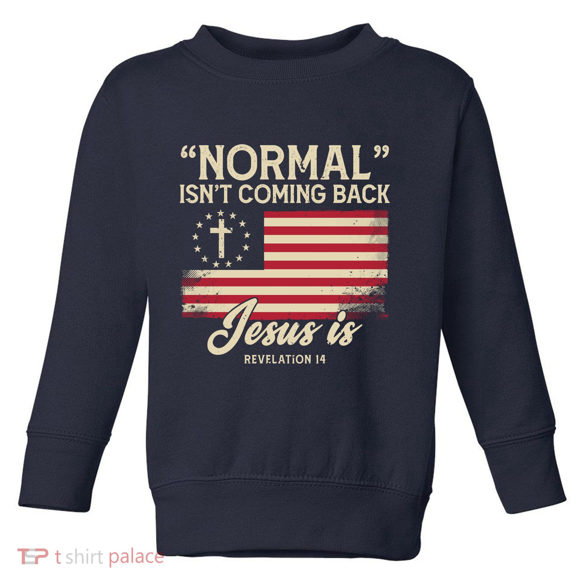Normal Isnt Coming Back Jesus Is American Flag Toddler Sweatshirt