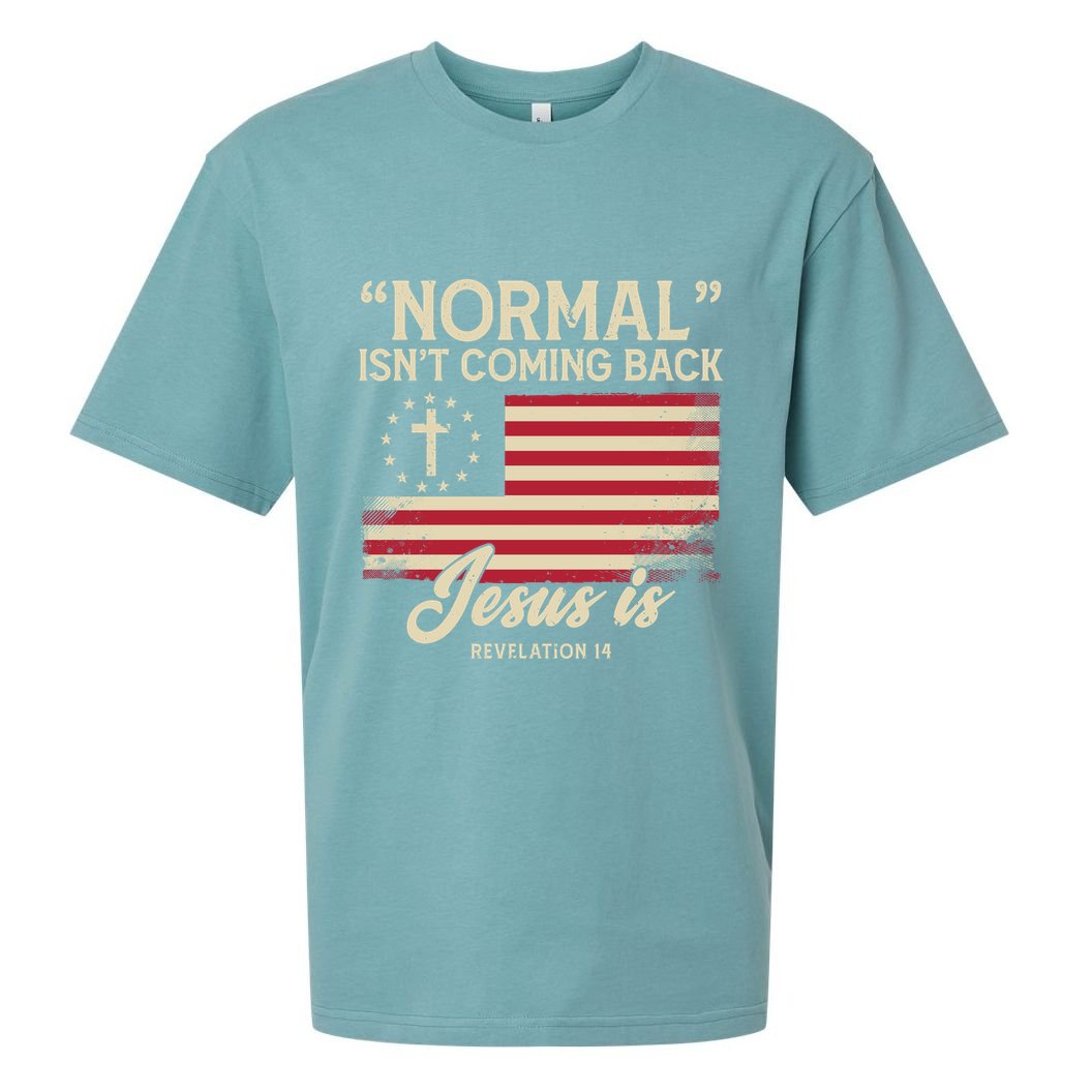 Normal Isnt Coming Back Jesus Is American Flag Sueded Cloud Jersey T-Shirt