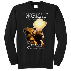 Normal Isnt Coming Back But Jesus Is Cross Christian Easter Sweatshirt