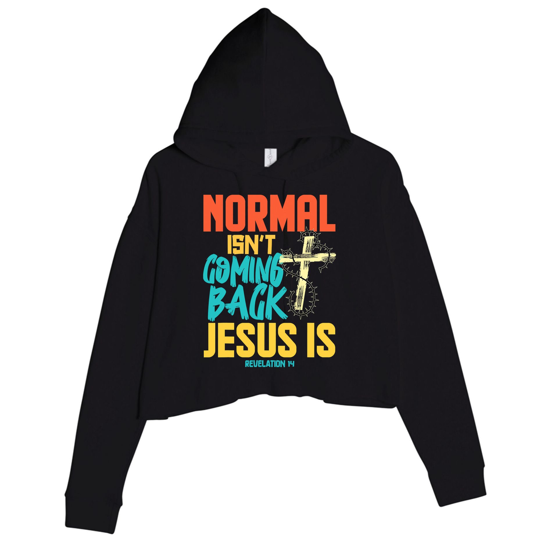 Normal Isnt Coming Back Jesus Funny Crop Fleece Hoodie