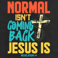 Normal Isnt Coming Back Jesus Funny Hat