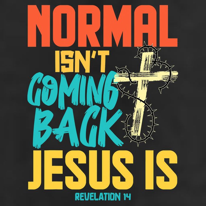 Normal Isnt Coming Back Jesus Funny Hat