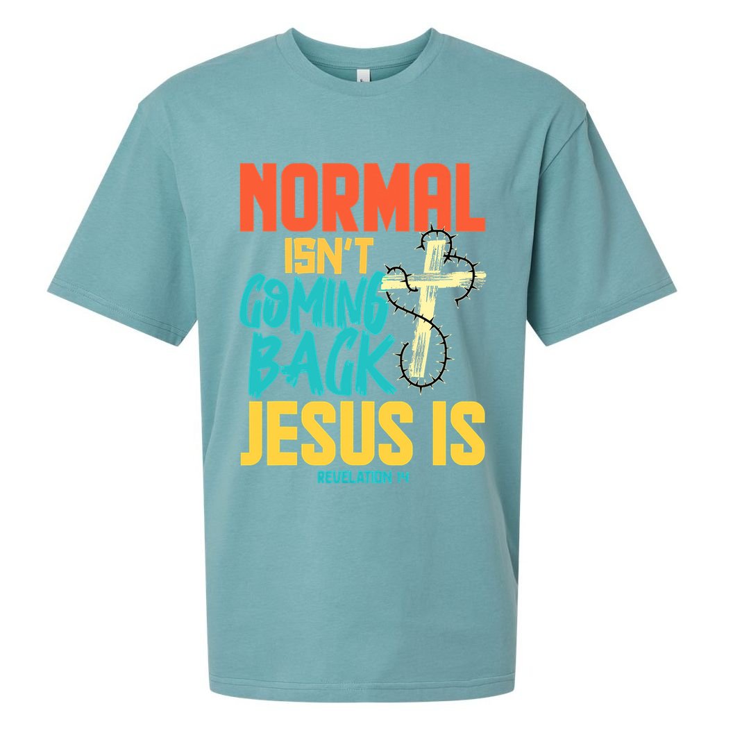 Normal Isnt Coming Back Jesus Funny Sueded Cloud Jersey T-Shirt