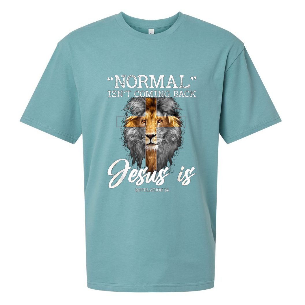 Normal Isnt Coming Back But Jesus Is Cross Christian Sueded Cloud Jersey T-Shirt