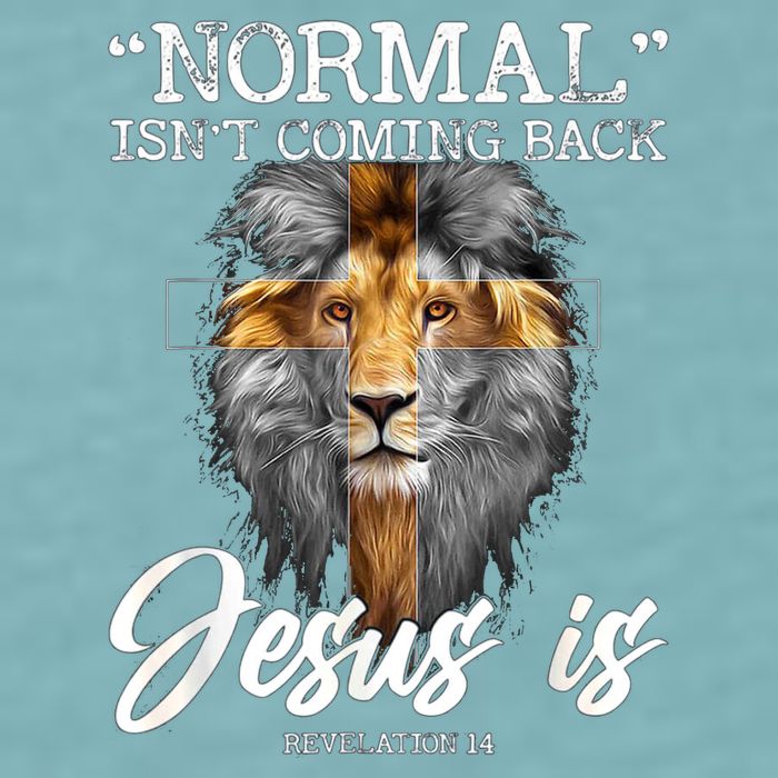 Normal Isnt Coming Back But Jesus Is Cross Christian Sueded Cloud Jersey T-Shirt