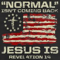 Normal IsnT Coming Back Jesus Is Christian American Flag Adult Drive Performance Visor