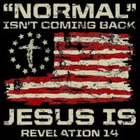 Normal IsnT Coming Back Jesus Is Christian American Flag 16 in Basic Backpack