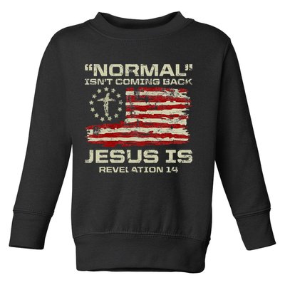 Normal IsnT Coming Back Jesus Is Christian American Flag Toddler Sweatshirt