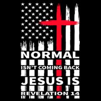 Norman Isnt Coming Back Jesus Is Revelation 14 Christ Christianity T-Shirt
