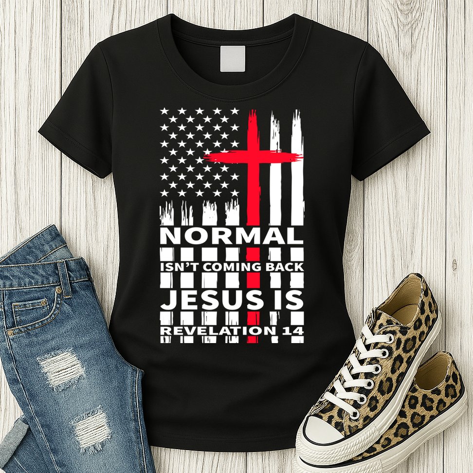 Norman Isnt Coming Back Jesus Is Revelation 14 Christ Christianity Womens T-Shirt