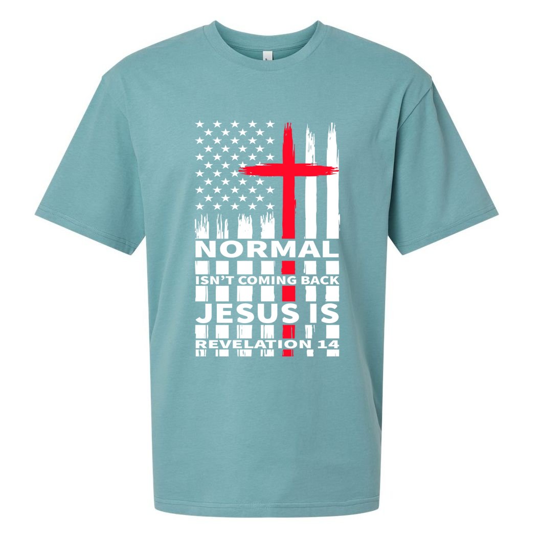 Norman Isnt Coming Back Jesus Is Revelation 14 Christ Christianity Sueded Cloud Jersey T-Shirt