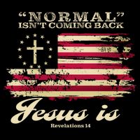 Normal Isn't Coming Back But Jesus Is Revelation 14 American Flag 16oz Travel Tumbler