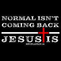 Normal Isn't Coming Back But Jesus Is Revelation 14 Tie-Dye T-Shirt
