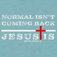 Normal Isn't Coming Back But Jesus Is Revelation 14 Sueded Cloud Jersey T-Shirt