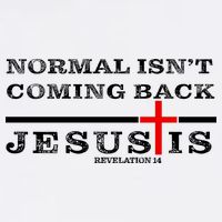 Normal Isn't Coming Back But Jesus Is Revelation 14 Baby Bodysuit