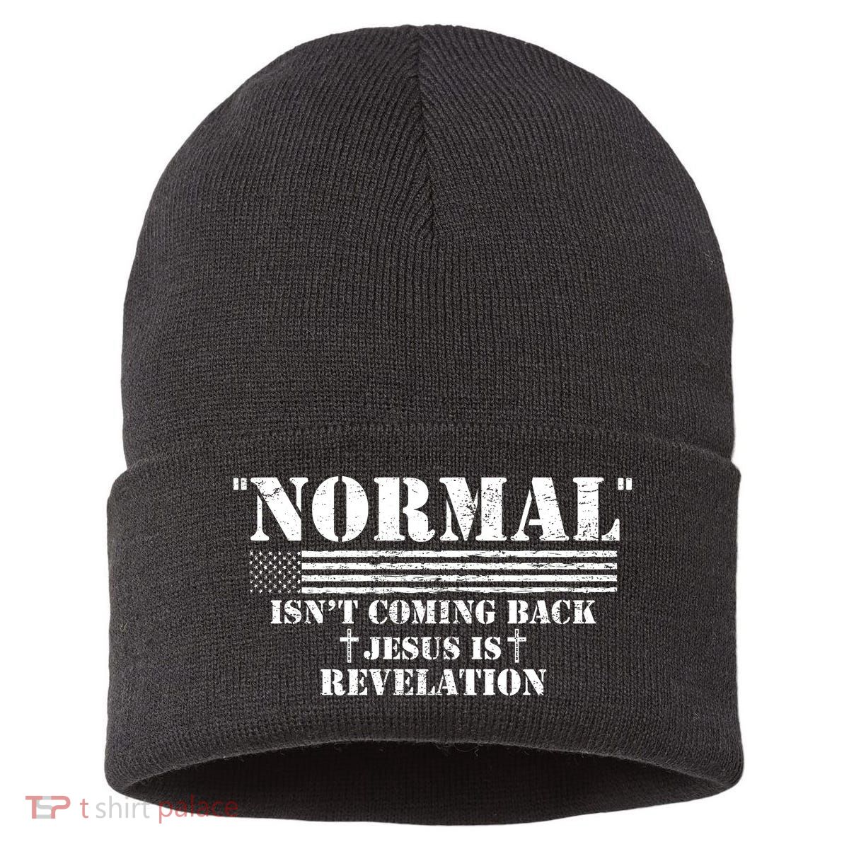 Norman Isnt Coming Back Jesus Is Revelation Christ Christianity Sustainable Knit Beanie
