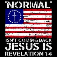 Norman Isnt Coming Back Jesus Is Revelation USA Flag Christianity Cooling Performance Crew T-Shirt