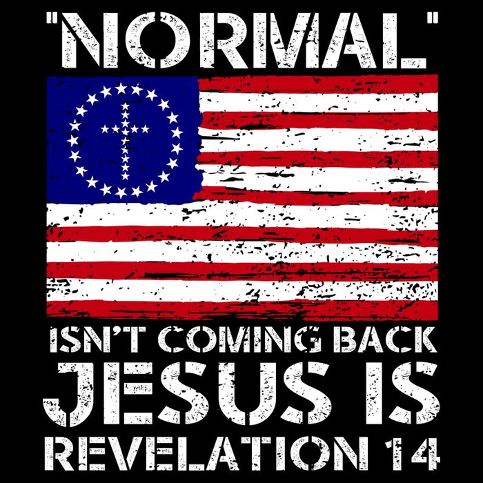 Norman Isnt Coming Back Jesus Is Revelation USA Flag Christianity Cooling Performance Crew T-Shirt