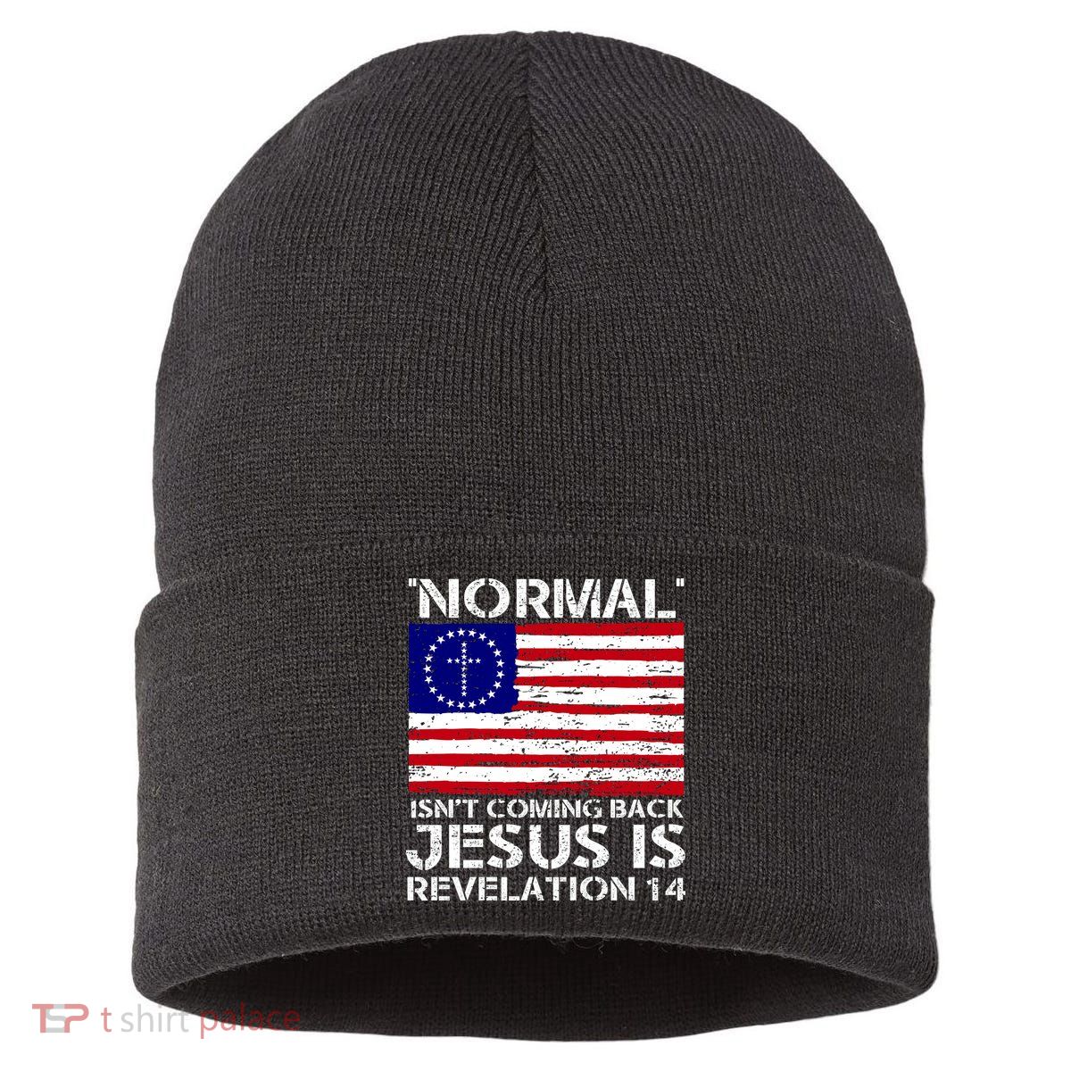 Norman Isnt Coming Back Jesus Is Revelation USA Flag Christianity Sustainable Knit Beanie