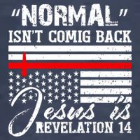 Normal Isn't Coming Back But Jesus Is Revelation Sweatshirt