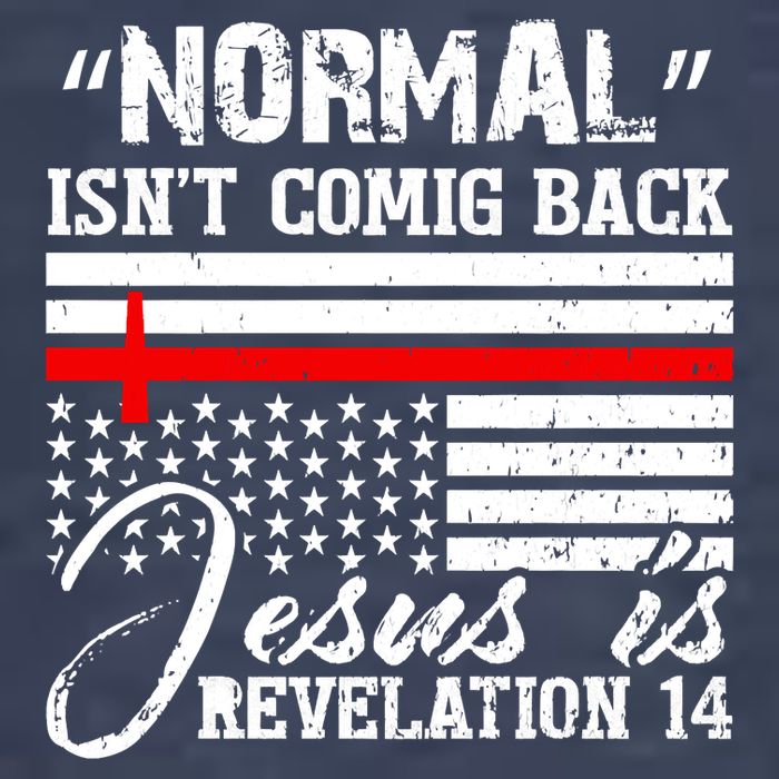 Normal Isn't Coming Back But Jesus Is Revelation Sweatshirt