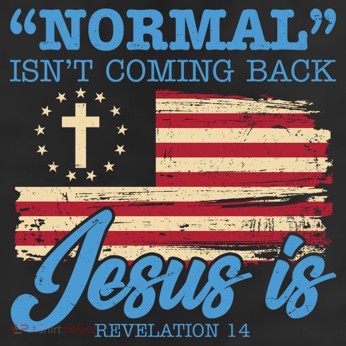 Normal Isn't Coming Back Jesus Is Distressed USA Flag Cool Comfort Performance Bucket Hat