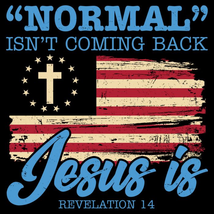 Normal Isn't Coming Back Jesus Is Distressed USA Flag Impact Tech Backpack