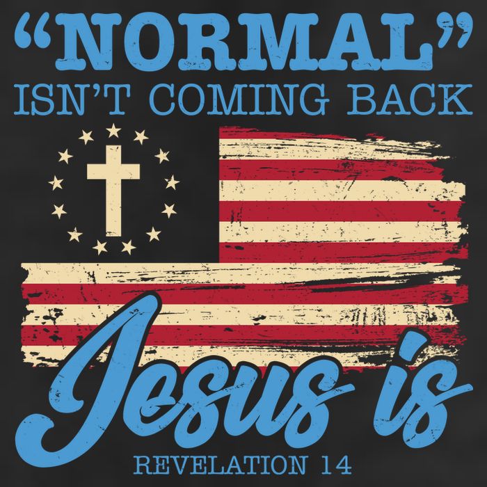 Normal Isn't Coming Back Jesus Is Distressed USA Flag 15oz Campfire Ceramic Mug