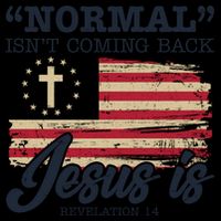 Normal Isn't Coming Back Jesus Is Distressed USA Flag 16oz Travel Tumbler
