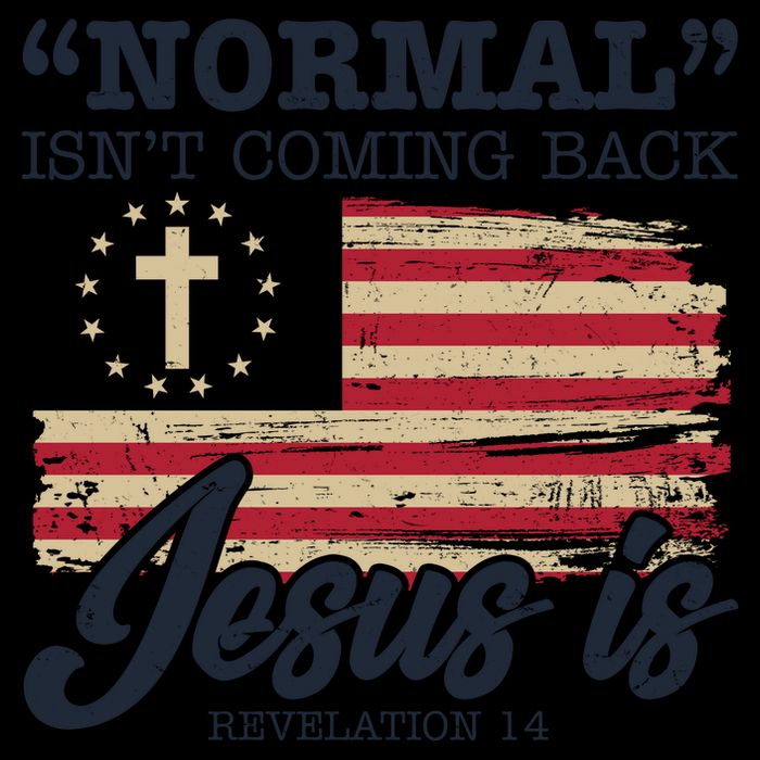 Normal Isn't Coming Back Jesus Is Distressed USA Flag 16oz Travel Tumbler