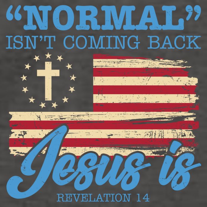 Normal Isn't Coming Back Jesus Is Distressed USA Flag Vector Backpack