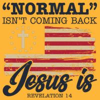 Normal Isn't Coming Back Jesus Is Distressed USA Flag Performance Shirt