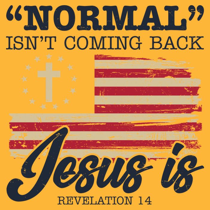 Normal Isn't Coming Back Jesus Is Distressed USA Flag Performance Shirt