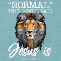 Normal Isnt Coming Back But Jesus Is Cross Christian Sueded Cloud Jersey T-Shirt