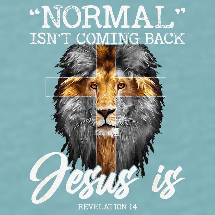 Normal Isnt Coming Back But Jesus Is Cross Christian Sueded Cloud Jersey T-Shirt