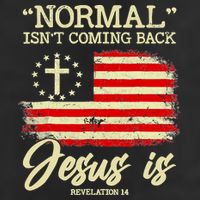 Normal Isn't Coming Back But Jesus Is Revelation 14 Costume 15oz Campfire Ceramic Mug