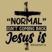 Normal Isn't Coming Back Jesus Is Hoodie