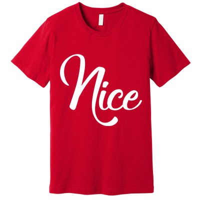 Nice Christmas Couples Naughty and Nice Premium T-Shirt