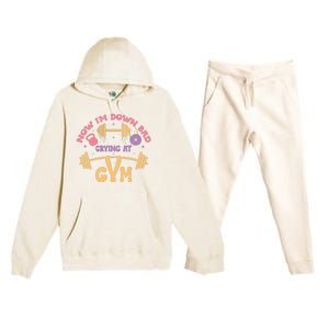 Now IM Down Bad Crying At The Gym Premium Hooded Sweatsuit Set