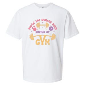 Now IM Down Bad Crying At The Gym Sueded Cloud Jersey T-Shirt