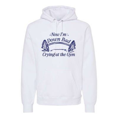 Now Im Down Bad Crying At The Gym Ttpd Premium Hoodie