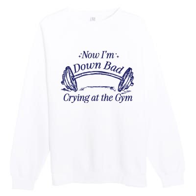 Now Im Down Bad Crying At The Gym Ttpd Premium Crewneck Sweatshirt