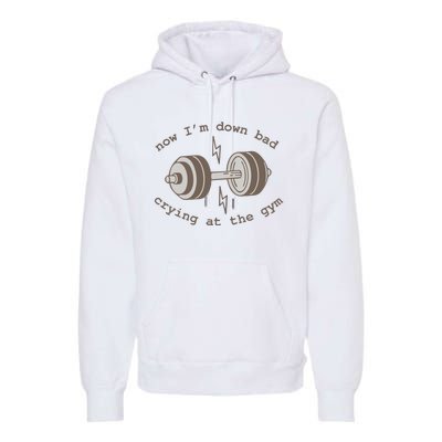 Now Im Down Bad Crying At The Gym Ttpd Premium Hoodie