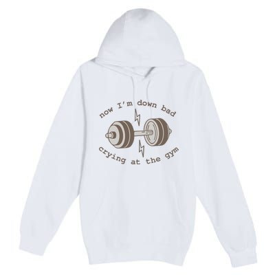 Now Im Down Bad Crying At The Gym Ttpd Premium Pullover Hoodie