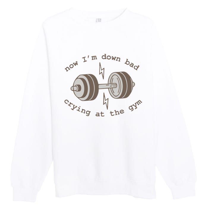 Now Im Down Bad Crying At The Gym Ttpd Premium Crewneck Sweatshirt